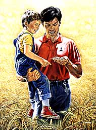 Bambino tra le braccia del padre in un campo di grano
