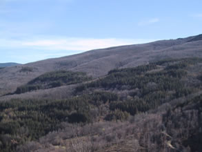 Vista panoramica della Riserva di Zuccaia