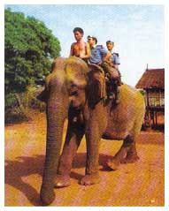 1993: due carabinieri dell'UNTAC, a dorso di un elefante, in un villagio cambogiano.
