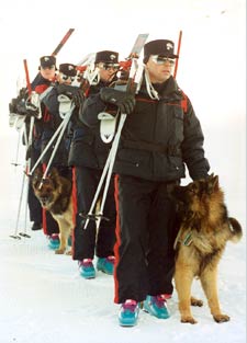 Carabinieri sciatori con cani addestrati per il recupero di dispersi sotto la neve.