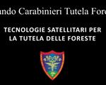 TECNOLOGIE SATELLITARI PER LA TUTELA DELLE FORESTE